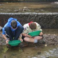 Prospecting in Elk lick Creek.